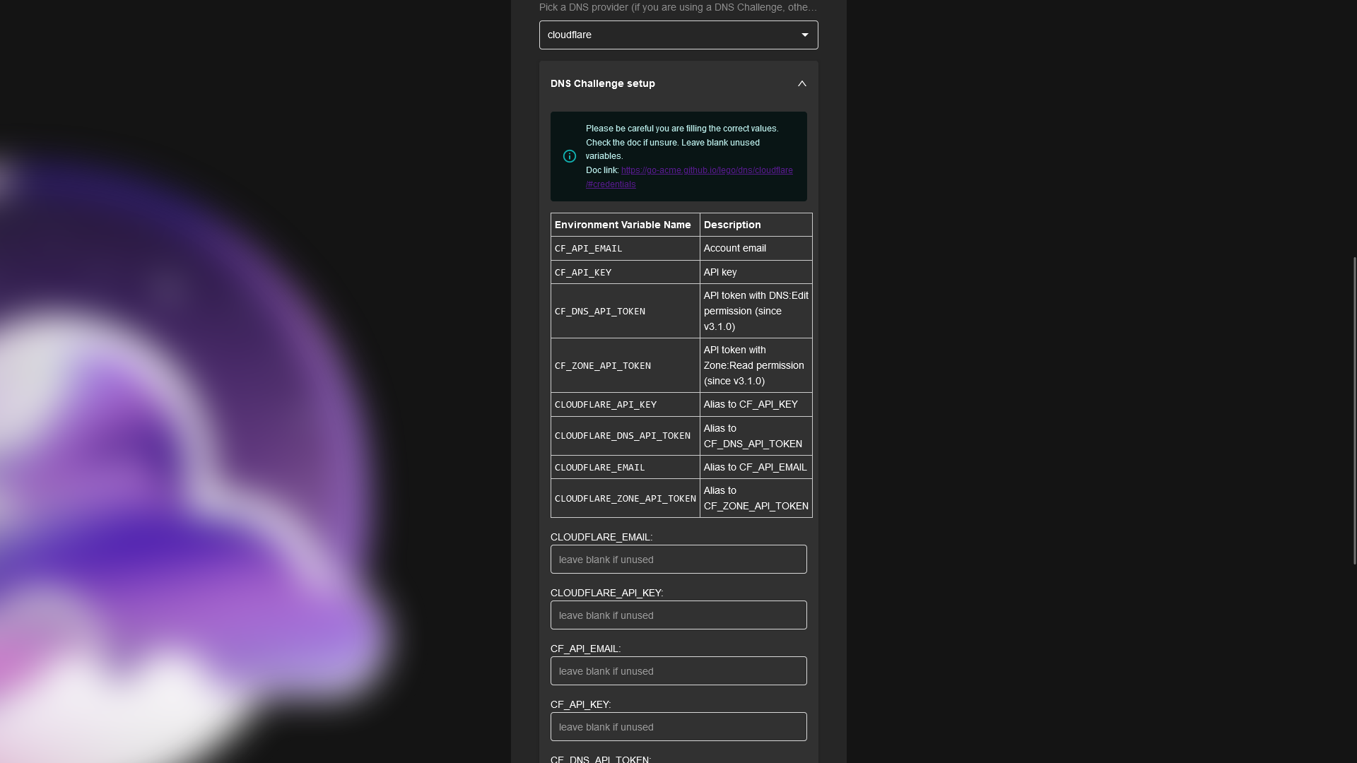 DNS Challenge